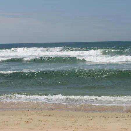 Semesterbostad Park Village Ocelandes Saint-Julien-en-Born