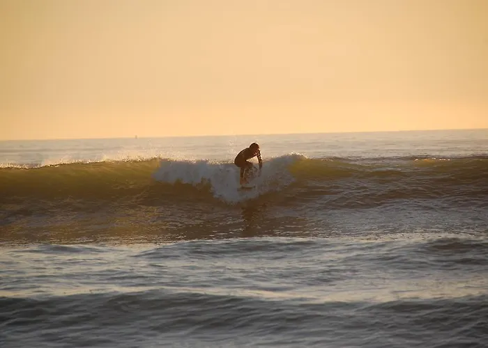 Park Village Ocelandes