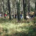 בית נופש Park Village Ocelandes סן-ז'וליין-אן-בורן