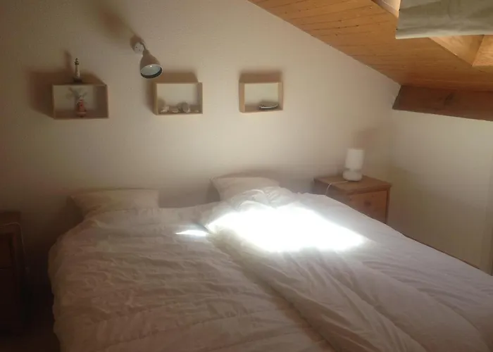 Park Village Ocelandes Vakantiehuis Saint-Julien-en-Born