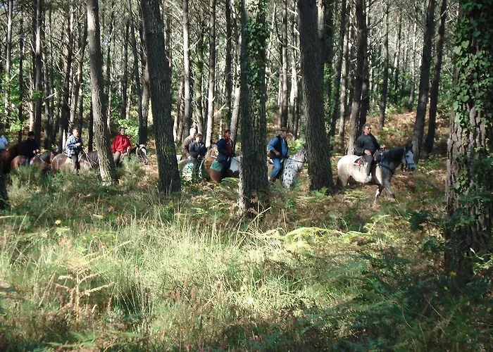 Vakantiehuis Park Village Ocelandes Saint-Julien-en-Born